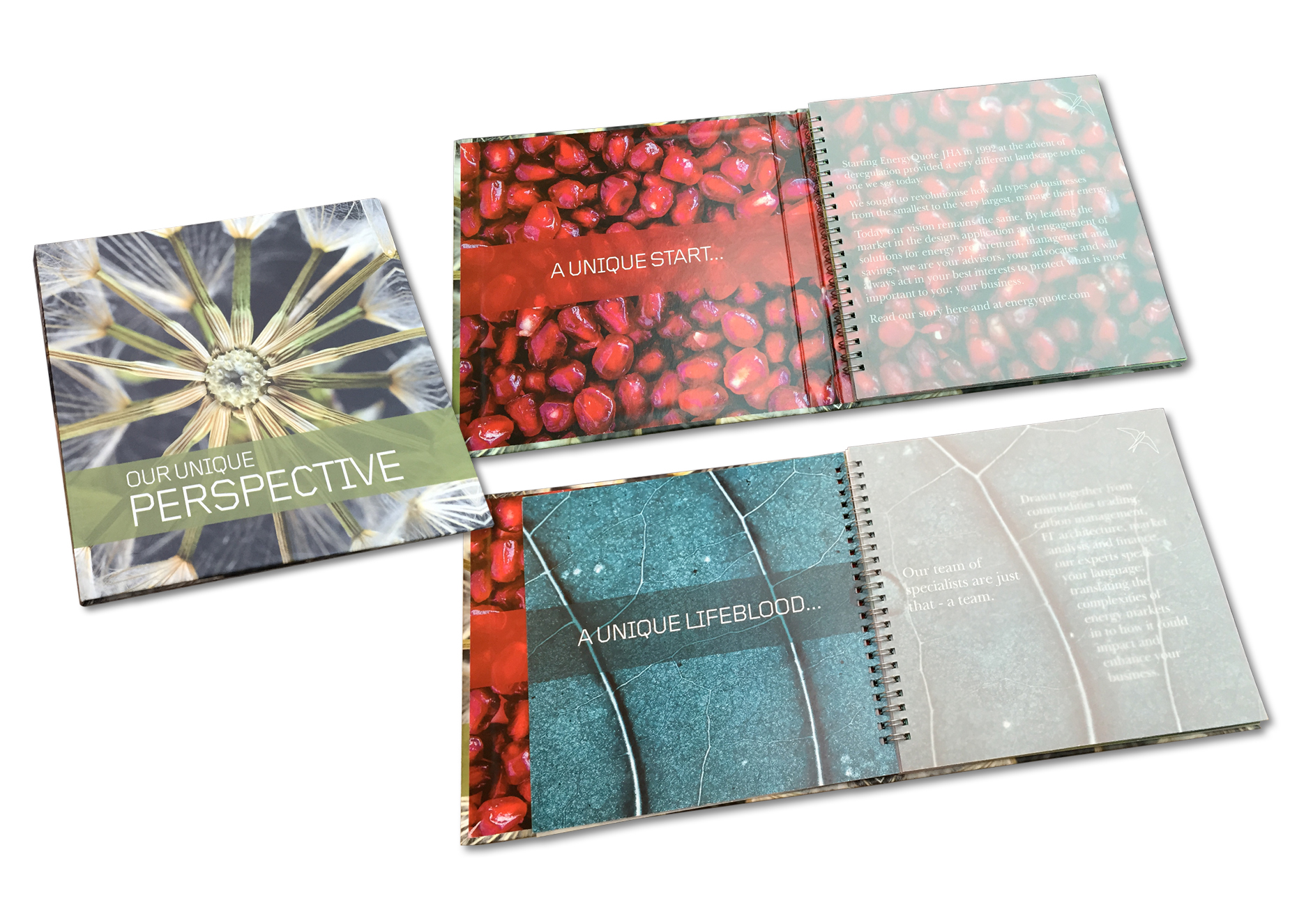 Branding design by neil henderson freelance graphic designer